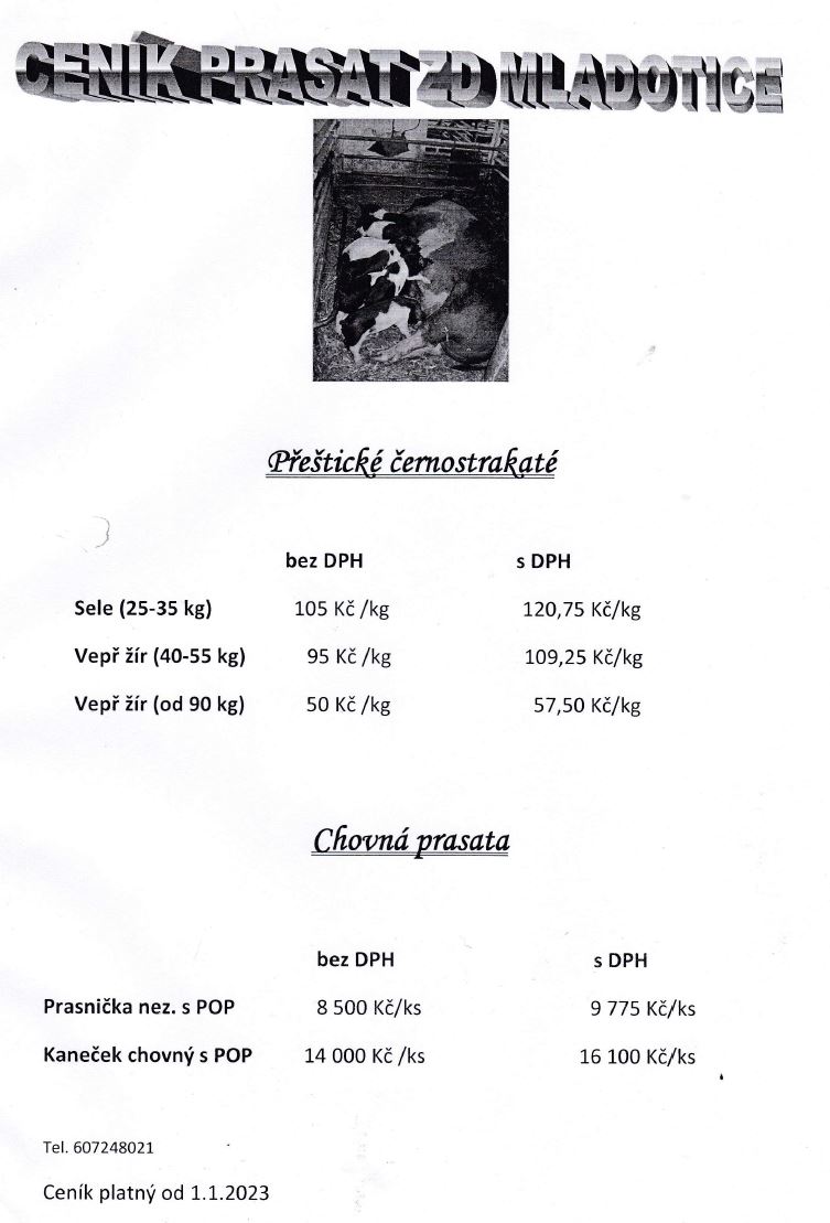 ceník od 16.9.20130002