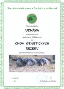 certifikat0001